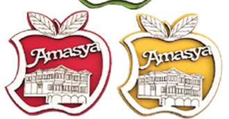 Ahşap Magnet Şehre Özel