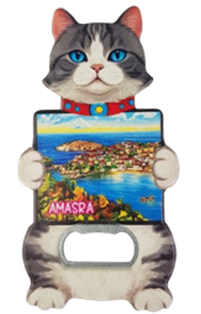 Magnet Çeşitleri Şehre Özel