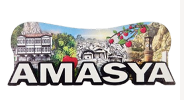 Magnet Çeşitleri Şehre Özel