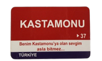 Magnet Çeşitleri Şehre Özel