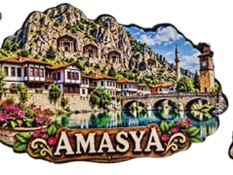 Magnet Çeşitleri Şehre Özel