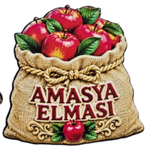 Magnet Çeşitleri Şehre Özel