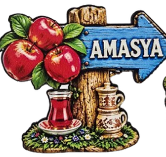 Magnet Çeşitleri Şehre Özel