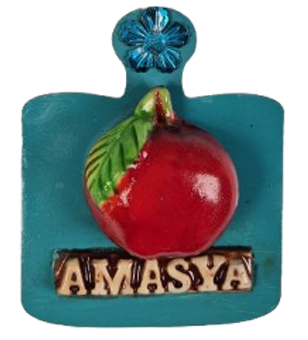 Magnet Çeşitleri Şehre Özel