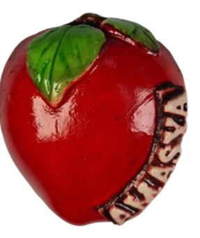 Magnet Çeşitleri Şehre Özel