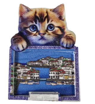 Magnet Çeşitleri Şehre Özel